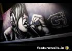 Graffiti Murals by featurewalls.ie