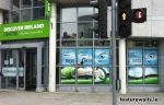 Connacht Rugby window painting